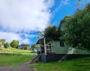 a green tiny house with a porch and stairs at Cozy Otways Accommodation in Beech Forest