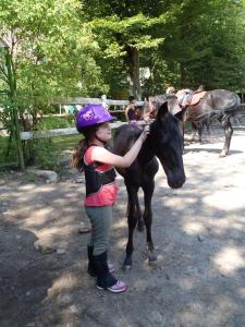 a young girl is petting a black horse at Mathias Lovasudvar in Kemence