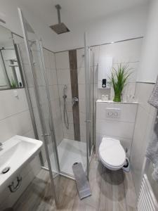 a bathroom with a shower and a toilet and a sink at Apartement Willingen in Stryck