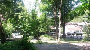 a view of a yard with trees and a house at Mathias Lovasudvar in Kemence