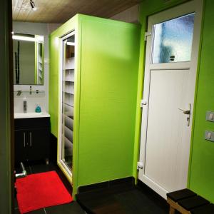 a green bathroom with a white door and a red rug at Résidence Les Alizés ''JACCUZI SAUNA PISCINE en plein centre ville" in La Roche-sur-Yon +19 photos