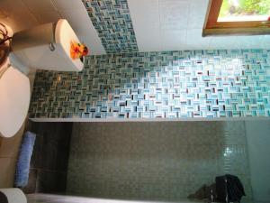 a bathroom with a shower with a toilet paper roll at Hotel Iguanito in Santa Catalina