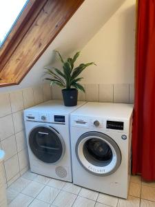 a washer and dryer with a plant on top of it at Lovely Central Located- Train, Restaurants & Spa in Kassel