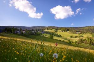 a person in a field of flowers on a hill at Bungalows Rogla in Zreče