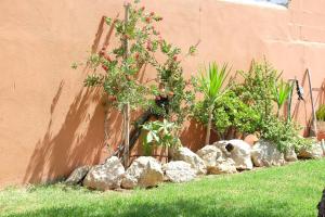 Ogród w obiekcie Apartamento con Piscina ADULTS ONLY