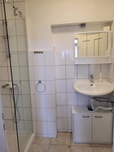 uma casa de banho com um lavatório e um chuveiro em Ap 5 51qm bei Oschersleben und Helmstedt em Ausleben