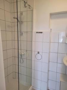 uma casa de banho com um chuveiro e uma porta de vidro em Ap 5 51qm bei Oschersleben und Helmstedt em Ausleben