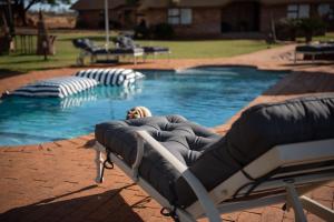 a large swimming pool with a bed in front of it at Morakane Safari Lodge in Vryburg