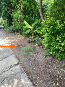 Zahrada ubytování Bungalow Tec-Tec St Leu