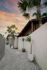 a courtyard with palm trees and a white wall at Casalita Ubud Romantic Villas in Ubud