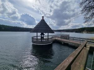 オルシュティネクにあるApartament Perła A20 nad jeziorem Pluszneの小さな桟橋