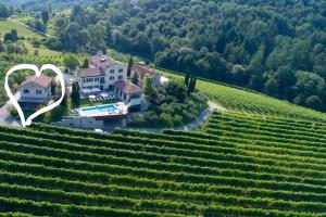 an aerial view of a vineyard and a house on a hill at ROMANTIK Relais d'Arfanta in Tarzo