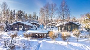 Tahko-Tours Oy في تاكوفوري: منزل في الثلج مع أشجار مغطاة بالثلج