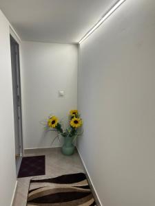 Fotografia z galérie ubytovania Vito Apartman v destinácii Eger