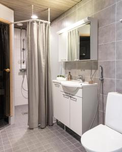 een badkamer met een wastafel, een toilet en een douche bij Arctic Aurora City Suite in Rovaniemi