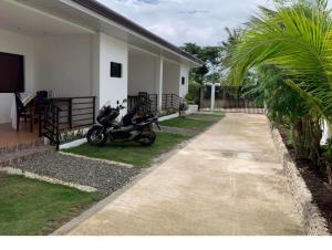 Gallery image of Palm Tree Lodge in Moalboal