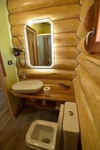a bathroom with a sink and a toilet and a mirror at Cabanele Petran in Borşa