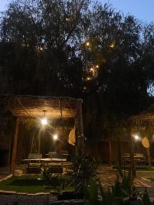 Giardino di Omani Guest House نزل البيت العماني