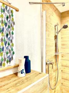 uma casa de banho com chuveiro e um vaso no balcão em Holmgård em Süderholm
