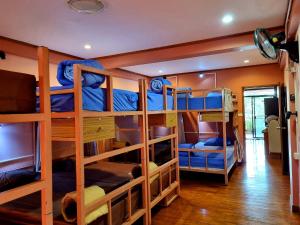 een groep stapelbedden in een kamer bij T2B Hostel in Chiang Mai