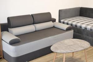 a couch with a table and a bed at Vyhlídka Slapy Nová Živohošť in Křečovice