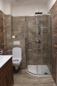 a bathroom with a shower and a toilet at Vyhlídka Slapy Nová Živohošť in Křečovice