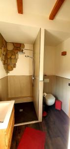 ein Bad mit einem Waschbecken und einem WC in einem Zimmer in der Unterkunft Sonniges Eck Ferienwohnung 2 in Rathen