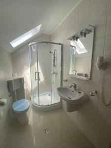 a bathroom with a shower and a toilet and a sink at Flora Alpina in Azuga