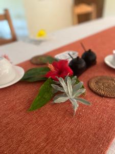 a red table cloth with a red flower on it at Calou Guest House in La Digue