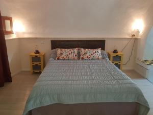 1 dormitorio con 1 cama grande y 2 mesitas de noche en La Maison Jules Goux, en Mirmande