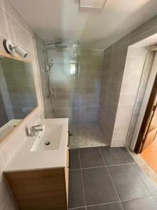 a bathroom with a sink and a shower at Le Clos des Erables in Dijon