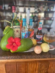 a counter with bottles of alcohol and a red flower at Calou Guest House in La Digue