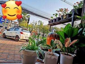 Galeriebild der Unterkunft T2B Hostel in Chiang Mai