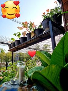 Ein Garten an der Unterkunft T2B Hostel