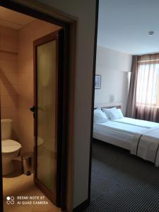 a bedroom with a bed and a toilet and a mirror at Spa Hotel Kleptuza in Velingrad