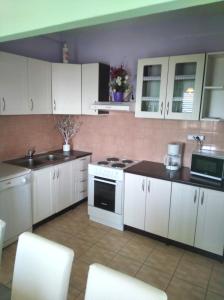 Kuchyň nebo kuchyňský kout v ubytování Large Apartment Duje