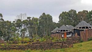 a couple of huts in a field with trees at Altiplanico Rapa Nui in Hanga Roa