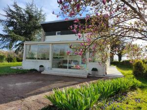 a house with glass windows and a tree with pink flowers at Le Gîte d'Odette in Dampierre-sous-Bouhy