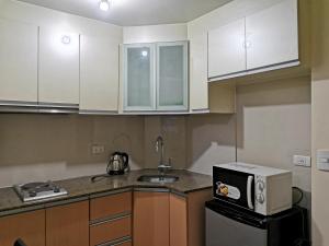 Kuchyň nebo kuchyňský kout v ubytování palm tree villas