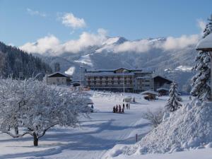 Obiekt Landhotel Tirolerhof - Wildschönau - PREMIUM Card im Sommer zimą