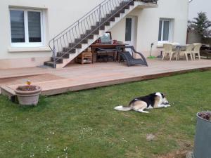 Κατοικίδιο ή κατοικίδια επισκεπτών που μένουν στο Le mulon de Guérande +2 φωτογραφίες