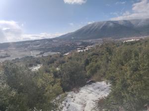 Foto sihtkohas Tsiv'on asuva majutusasutuse פינה ביער galeriist