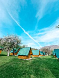 a row of wooden buildings with green roofs at Rafting Camp Tara 87 in Hum