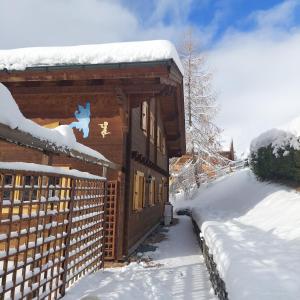 冬天的Chambre d'hôtes L'ours Bleu
