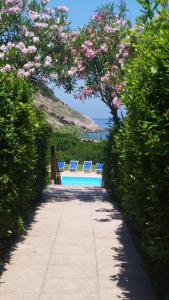 Nisporto的住宿－Elbamare residence con piscina，一座带两把椅子的游泳池以及一棵种有粉红色花卉的树