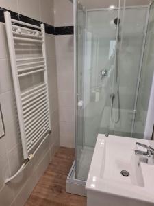 a bathroom with a glass shower and a sink at Appartement avec parking 50 m de la mer in De Panne