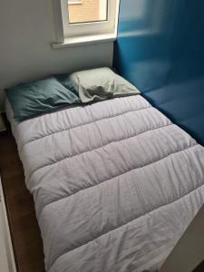 ein unmaskiertes Bett in einem Zimmer mit Fenster in der Unterkunft Appartement avec parking 50 m de la mer in De Panne