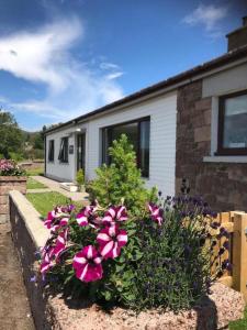 Zahrada ubytování Millview Ullapool