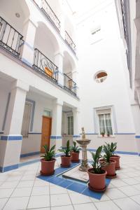 Gallery image of Malaga Center Flat Historic Center in Málaga