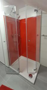 uma cabina de duche na casa de banho com paredes vermelhas em Studio-Apartment Braunschweig in Wolfenbüttel em Volfembutel